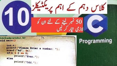 important practicals 10th class computer science|Practicals