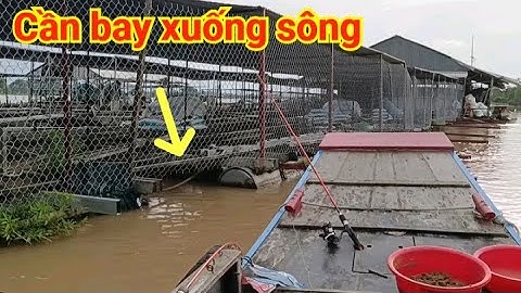 Kinh hoàng ra tới sông câu cá thấy cảnh này ? Nước lũ năm nay quá khủng khiếp cá ra đầy sông