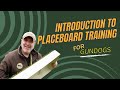 Introduction to placeboard training