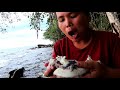 survival in the rainforest - cooking big octopus in the clay  - eating delicious