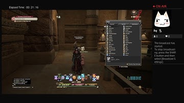 Final fantasy xiv A Sultanas strings