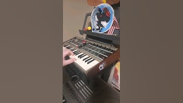 "Whip It" by Devo on the Korg MicroKorg synthesizer