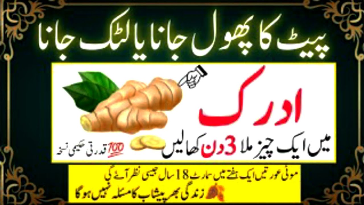 Motivational Quotes/Hazrat Ali quotes/Quotes About Life /Rumi Quotes/sunehrey/Golden Words/Aqwal