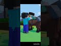 Funny paposal minecraft shprtsshots