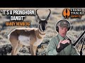 Antelope or Pronghorn | Fresh Tracks Weekly (Ep. 37)