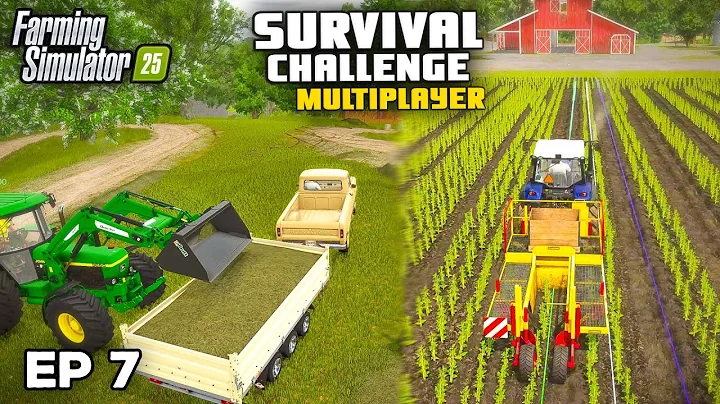 EZ EGY NYÁRFA VÁLASZTÁS VOLT? | Farming Simulator 25 - Túlélő Kihívás | 7. rész