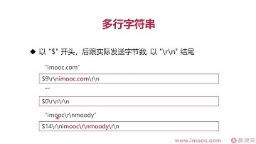 12.1 Redis网络协议详解【深入Go底层原理，重写Redis中间件实战】