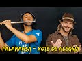 Falamansa - Xote de Alegria (Flute Cover)