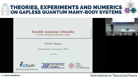 Tunable quantum criticality in multi-component Rydberg atoms  ▸  Natalia Chepiga (TU Delft)
