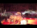 Hanneford Elephant Show 5 16 14