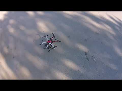 Automated Pavement Crack