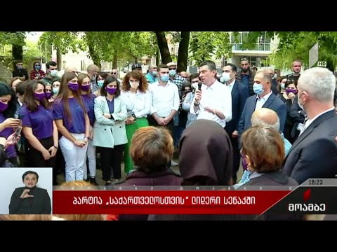 პარტია „საქართველოსთვის“ ლიდერი სენაკში