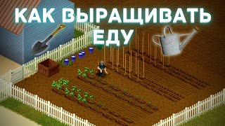 Project Zomboid - Farming basics for beginners