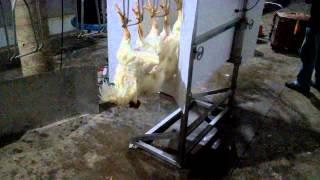 Rastros Compactos Aturdidor Para Pollos Aves