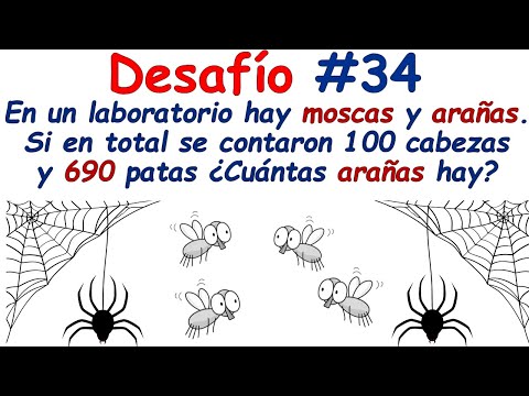 ¿ Cuántas arañas