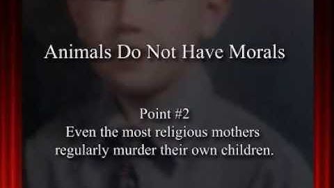 Di30: Animals Do Not Have Morals