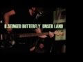 Bstinged butterfly  unser land