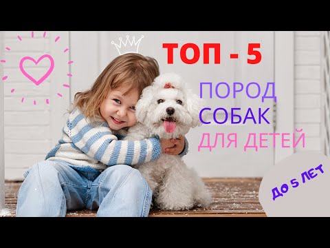 ТОП - 5 ПОРОД СОБАК ДЛЯ СЕМЕЙ С ДЕТЬМИ ДО 5 ЛЕТ || КАКУЮ СОБАКУ ЛУЧШЕ ВЫБРАТЬ ДЛЯ РЕБЕНКА