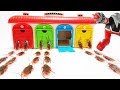 騎士竜戦隊リュウソウジャー&Super Ninja Steel Go into Tayo The Little Bus Garage Toy Which Door Is Safe?Cockroach