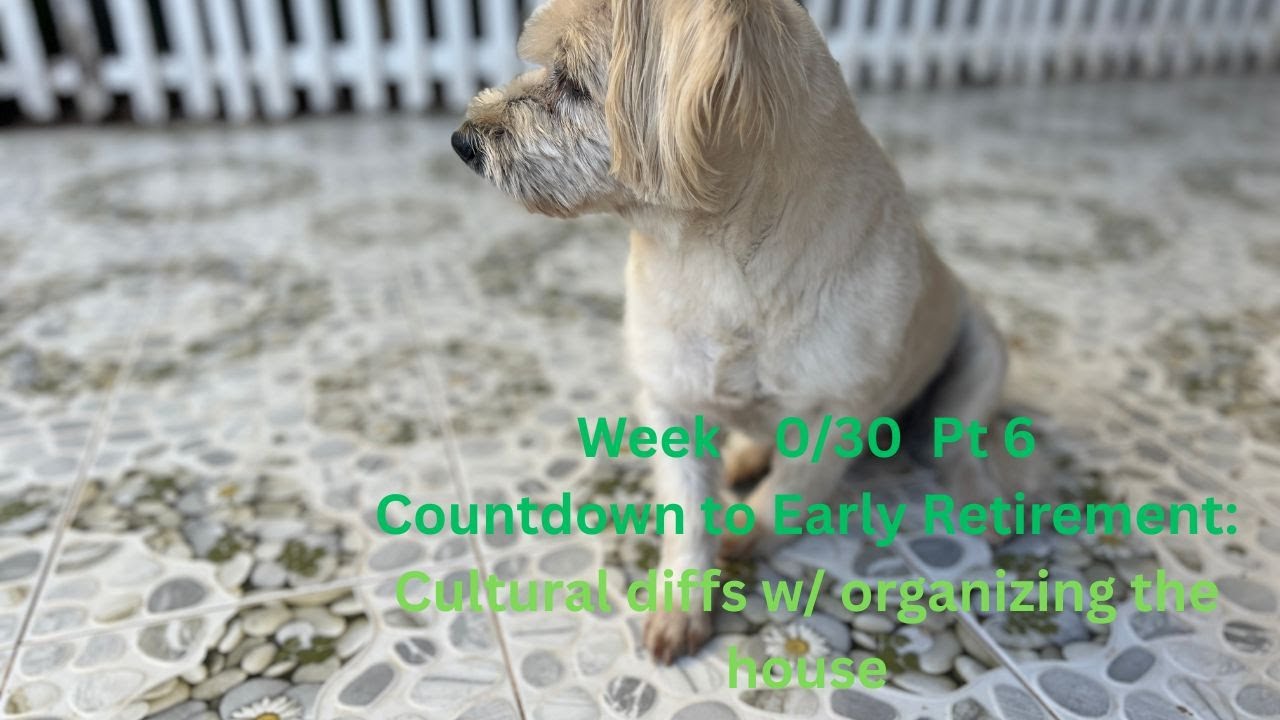 Early Retirement Countdown Week 0/30 Pt 6 Cultural diffs in organizing the house