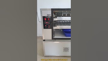 Best 200 Egg Incubator from Dellmarc #quaileggs #chicken #incubator