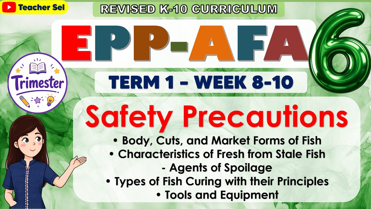 EPP 6 Term 1 Week 8, 9, 10 - Safety Precautions, Body, Cuts, and Market Forms of Fish
