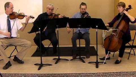 Ode to Joy, string orchestra arrangement (all 4 voices)