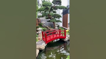 GÓC SÂN VƯỜN NHẬT BẢN - VẺ ĐẸP THANH TỊNH