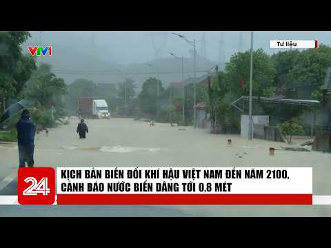 Vietnam's 2100 Climate Change Scenario, Warning of Sea Level Rise Up to 0.8 Meters | News Roundup