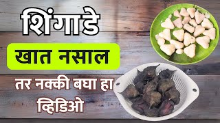 शिंगाडे खाण्याचे 16आरोग्यदायी फायदे |benefits of eating shingade health tips healthy Water Chestnut