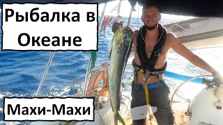 картинка: Рыбалка в океане. Махи-Махи