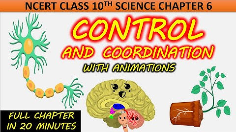 Control and Coordination with Animation| Class 10 Science Chapter 6 NCERT CBSE Full chapter One shot