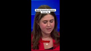 Accusations of an Epstein cover-up: Why is the DOJ under fire?