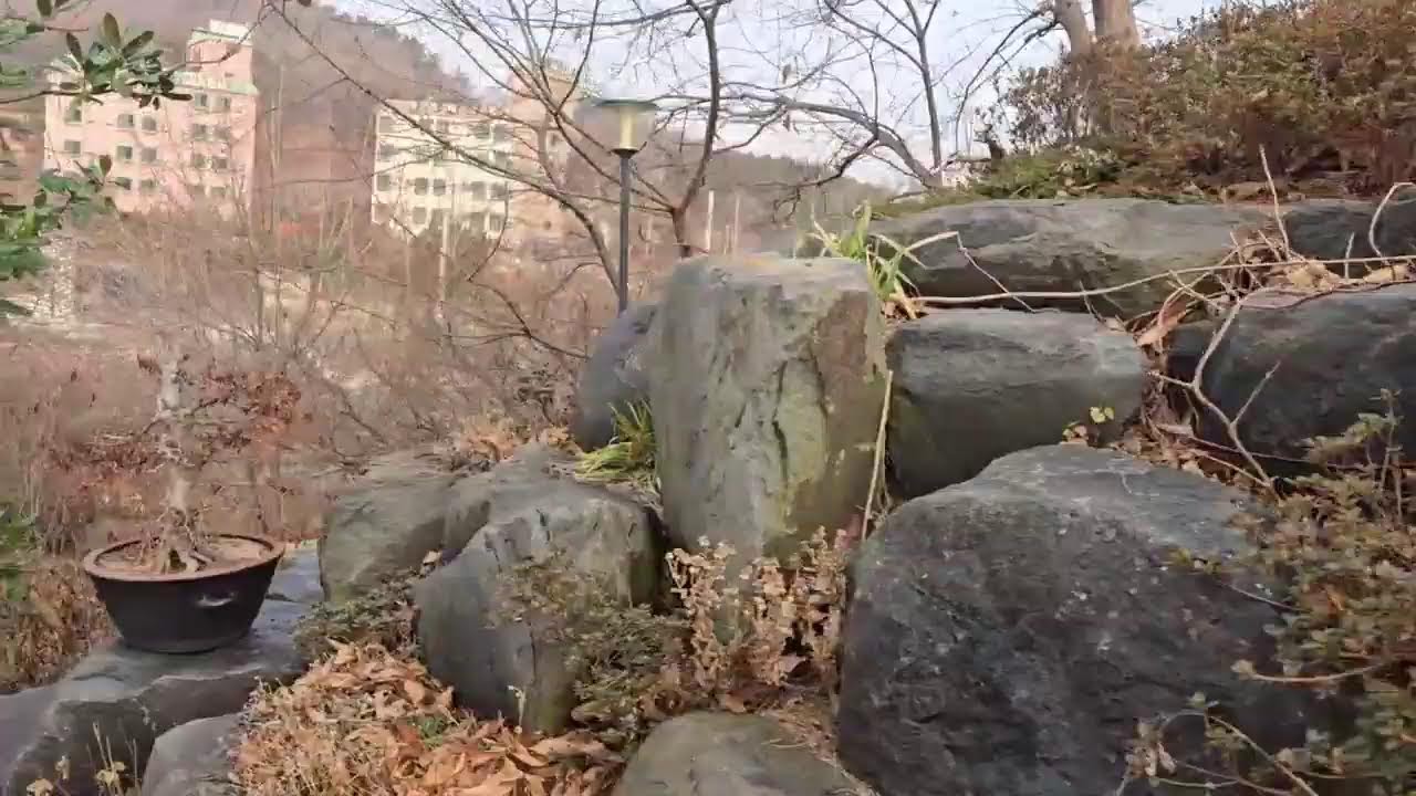 빽까빽까님의 라이브 방송. 불금 입니다 행복한 밤 보내십시요~방장없는 집 잠시나마 머물다 구저셔서 감사합니다 그리고 죄송 합니다^^