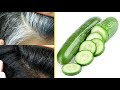 White Hair To Black Hair Naturally in Just 1 Recipe Permanently at home