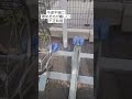 駐輪場の不正利用22