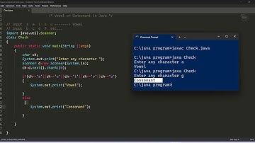program to check Character is Vowel or Consonant