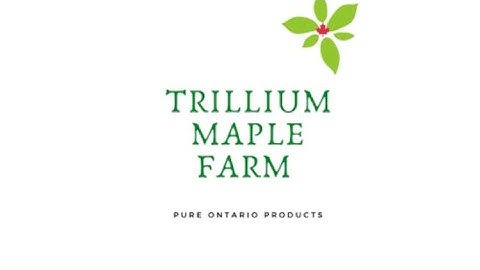 Making Maple Syrup in our new Evaporator on our off grid farm