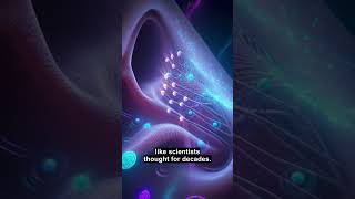 Your nose might be a quantum computer #Shorts