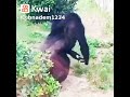 اة يا صباعى ههههههه 