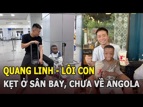 Quang Linh -