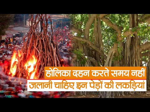 Holi 2023 : Holika Dahan करते समय नहीं जलानी चाहिए इन पेड़ों की लकड़ियां, कारण जान लें