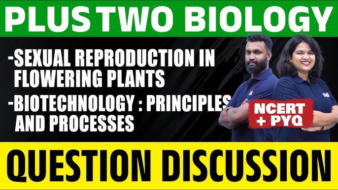 Onlaynda yalangoch aktyorlar bilan oynaydi Men qiz dostimning yalangoch holatda videosini suratga oldim.