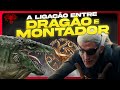 Os SEGREDOS da ligação entre DRAGÃO e MONTADOR! Pt.1 - Teoria / Explicado