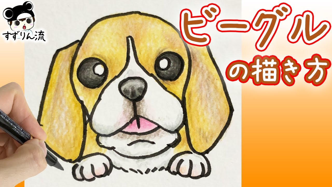 犬のイラスト 伏せをする ビーグルの描き方 Youtube