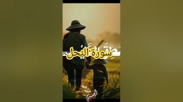 سورة النمل 🐜 من اجمل اصوات التلاوات للقرآن الكريم . #اكسبلور #السعودية #قران_كريم #تلاوة_القرآن