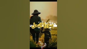 سورة النمل 🐜 من اجمل اصوات التلاوات للقرآن الكريم . #اكسبلور #السعودية #قران_كريم #تلاوة_القرآن