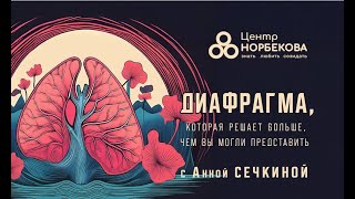 видео: Открытый вебинар с Анной Сечкиной «Органы под колпаком и старение изнутри» 26 сентября в 20:00 (мск) картинка: Открытый вебинар с Анной Сечкиной «Органы под колпаком и старение изнутри» 26 сентября в 20:00 (мск)