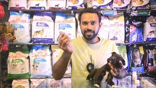 how to Deworm a puppy at home with live | puppy deworming at Home |Dosage and Medicine for Deworming by THE PET GUY 93 views 1 month ago 4 minutes, 33 seconds