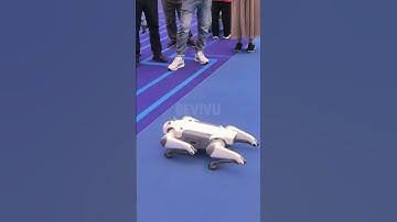 YushuRobot tại Canton Fair – Tâm điểm công nghệ tự động hóa toàn cầu!